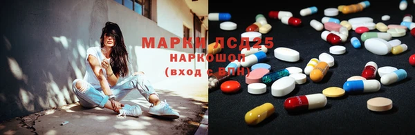 PSILOCYBIN Мегион