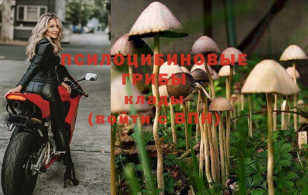 таблы Медногорск