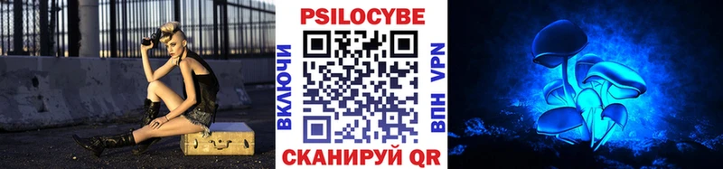 Псилоцибиновые грибы Cubensis  закладки  Тейково 