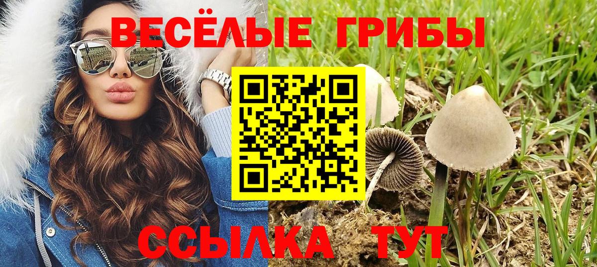 Тейково  Псилоцибиновые грибы мухоморы  Вход с VPN  Псилоцибиновые грибы прущие грибы 