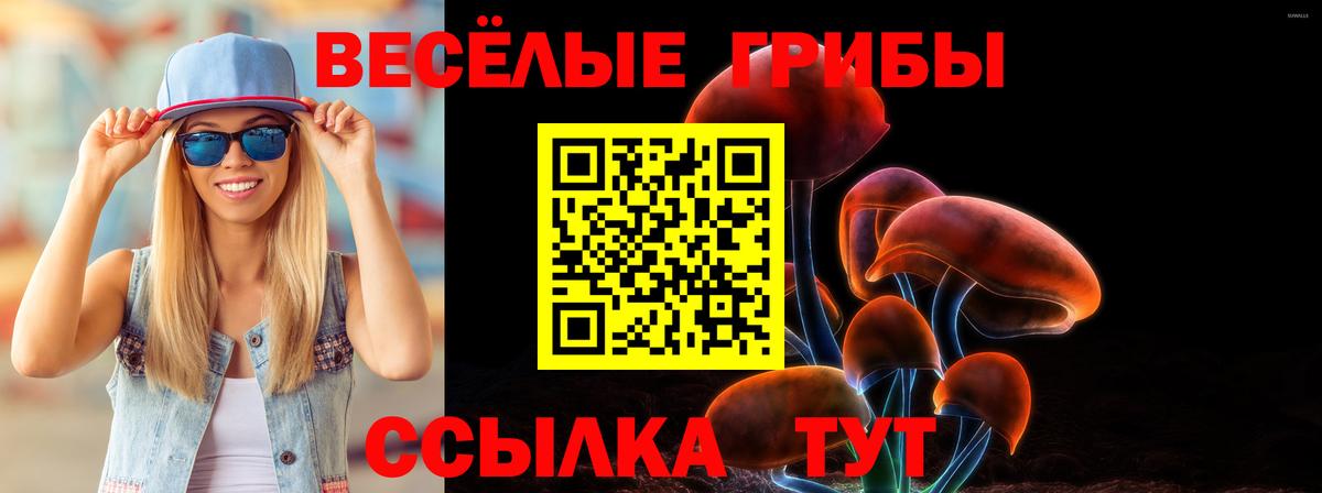 Псилоцибиновые грибы MAGIC MUSHROOMS Тейково